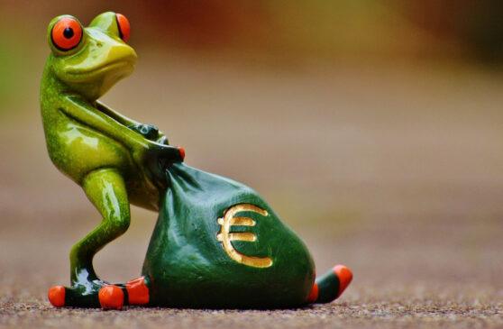 frog pulling a bag of cash. How to start a profitable website