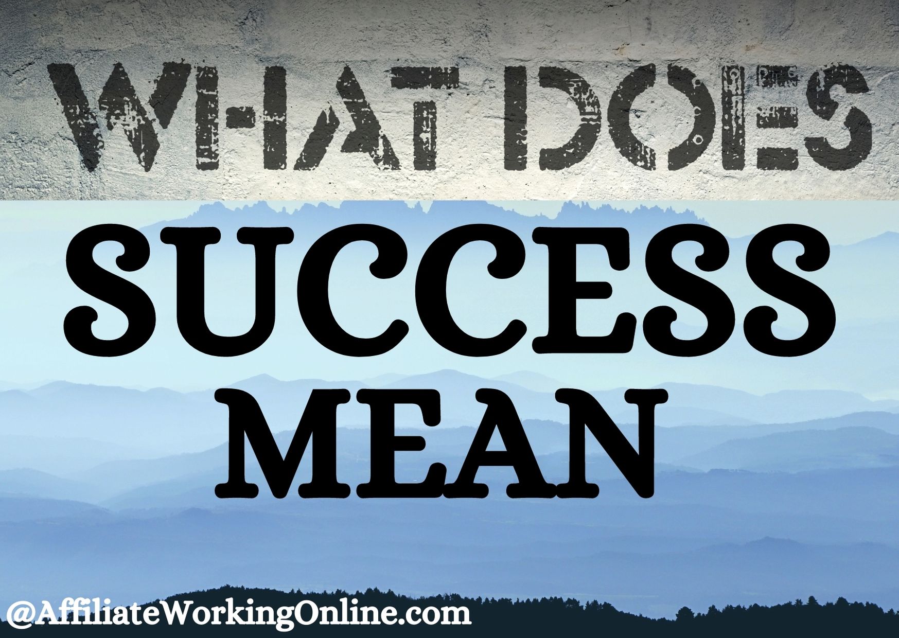What does Success mean